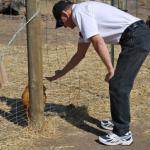 cambria2012_0059 (November 02, 2012)